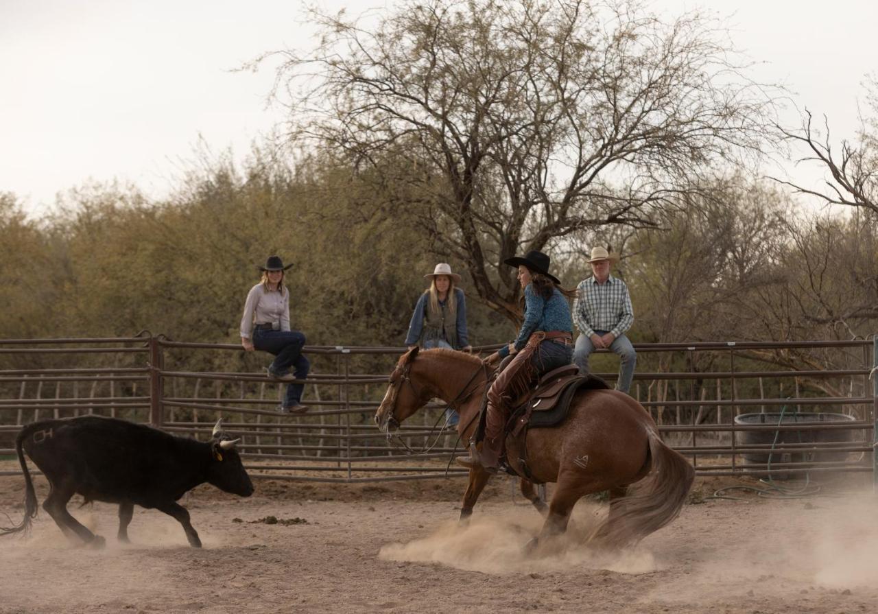 Kay El Bar Guest Ranch Hotel Wickenburg Bagian luar foto